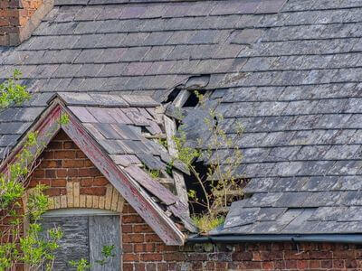 Professional storm damage restoration services in New York - water damage restoration service